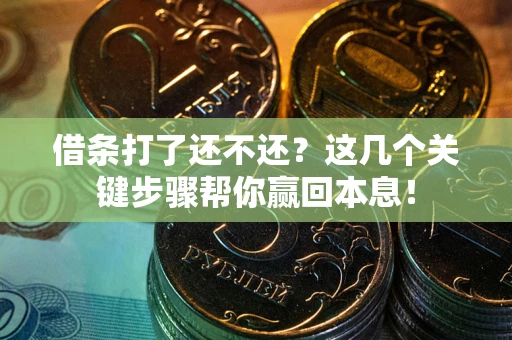 武汉借条打了还不还？这几个关键步骤帮你赢回本息！