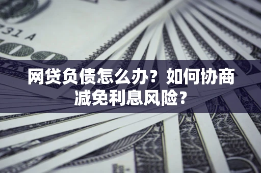 武汉网贷负债怎么办？如何协商减免利息风险？