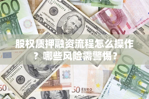 武汉股权质押融资流程怎么操作？哪些风险需警惕？