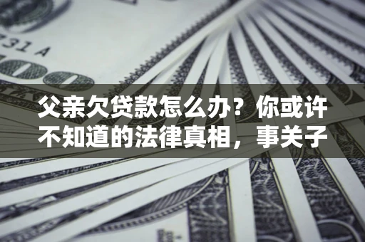武汉父亲欠贷款怎么办？你或许不知道的法律真相，事关子女未来