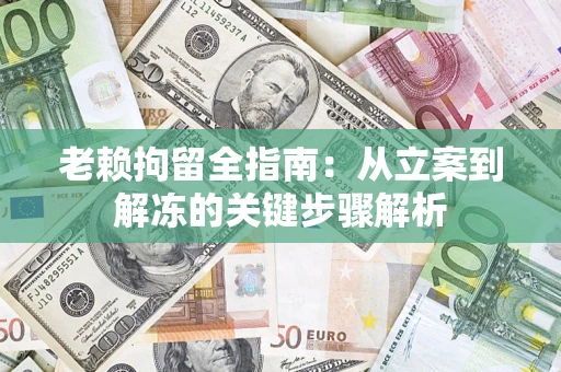 武汉老赖拘留全指南：从立案到解冻的关键步骤解析