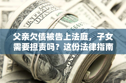 武汉父亲欠债被告上法庭，子女需要担责吗？这份法律指南必须看完
