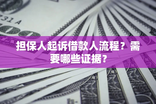 武汉担保人起诉借款人流程？需要哪些证据？