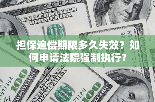武汉担保追偿期限多久失效？如何申请法院强制执行？