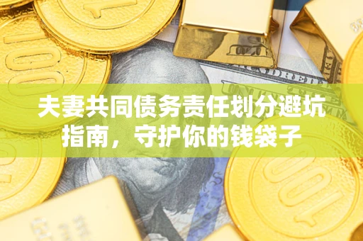 武汉夫妻共同债务责任划分避坑指南，守护你的钱袋子