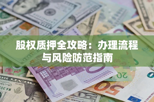 武汉股权质押全攻略：办理流程与风险防范指南