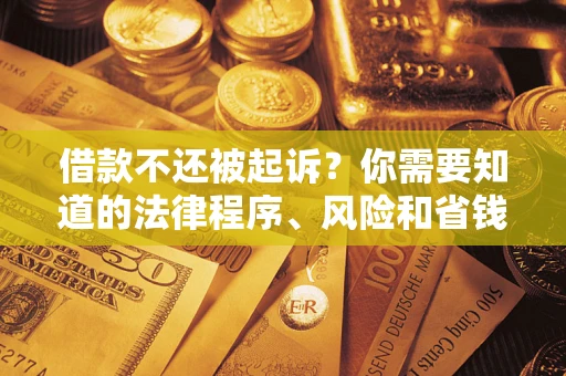 武汉借款不还被起诉？你需要知道的法律程序、风险和省钱技巧