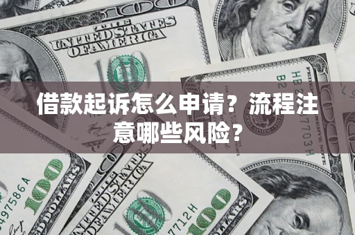 武汉借款起诉怎么申请？流程注意哪些风险？